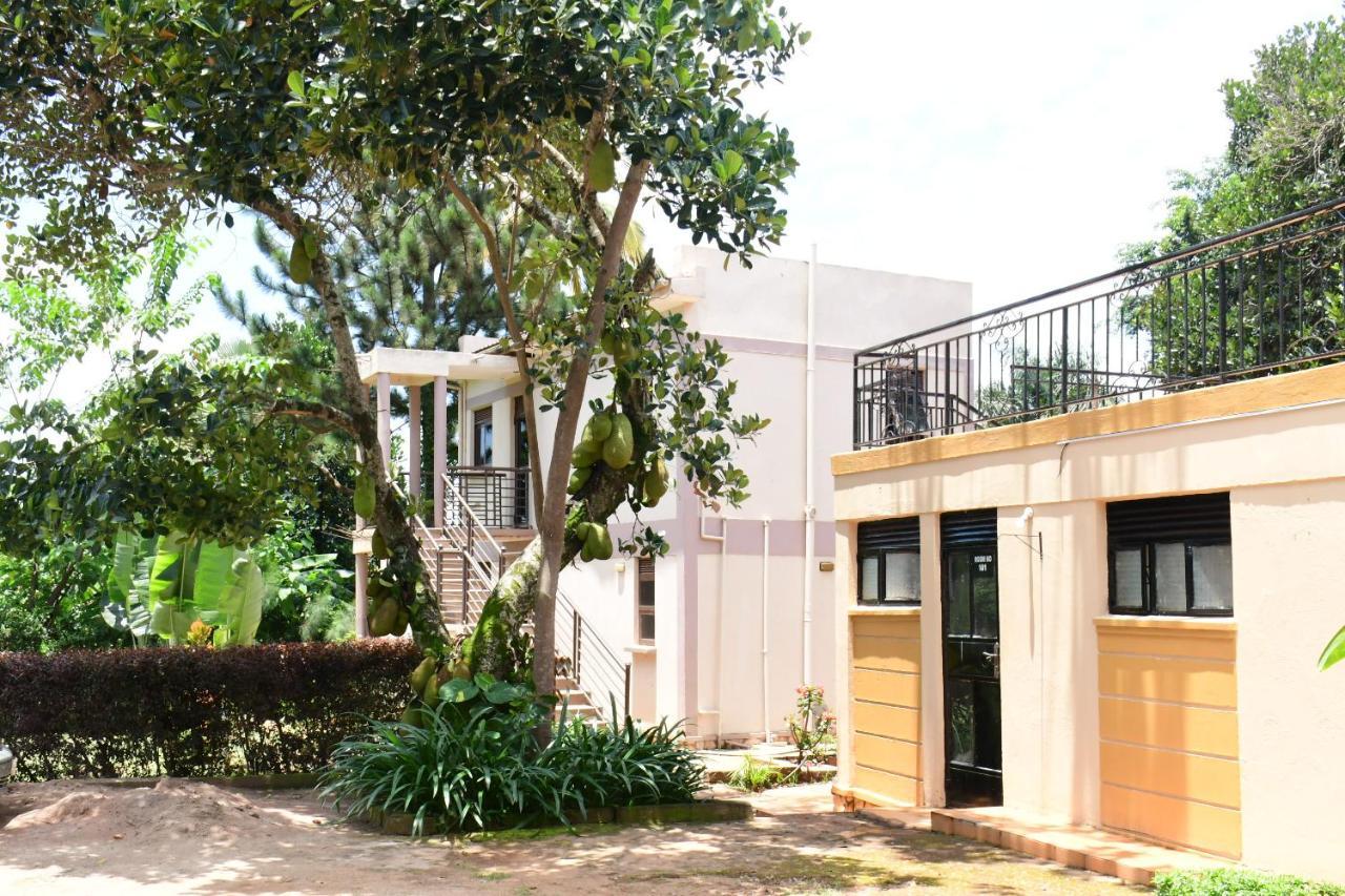 Golden Cherries Guest House Τζίντζα Εξωτερικό φωτογραφία