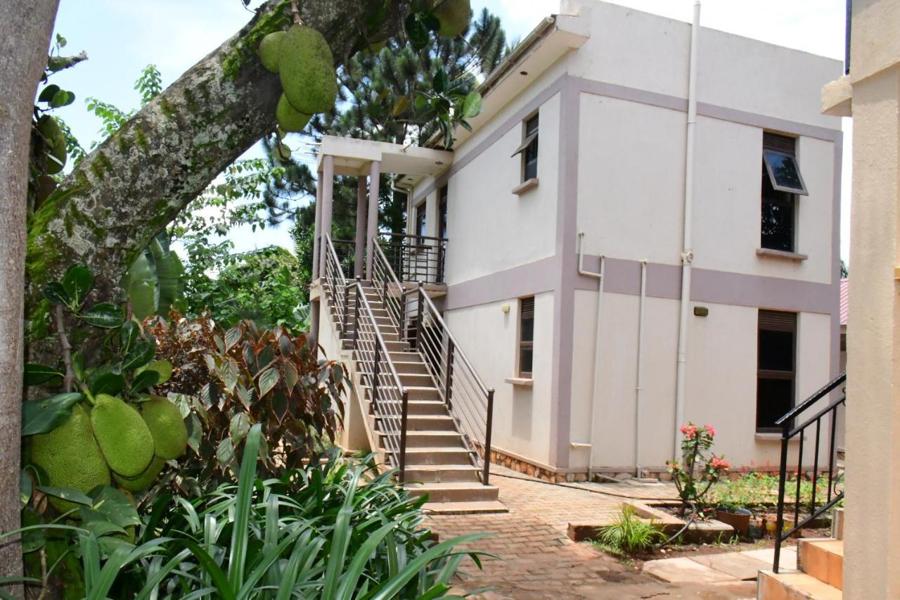 Golden Cherries Guest House Τζίντζα Εξωτερικό φωτογραφία
