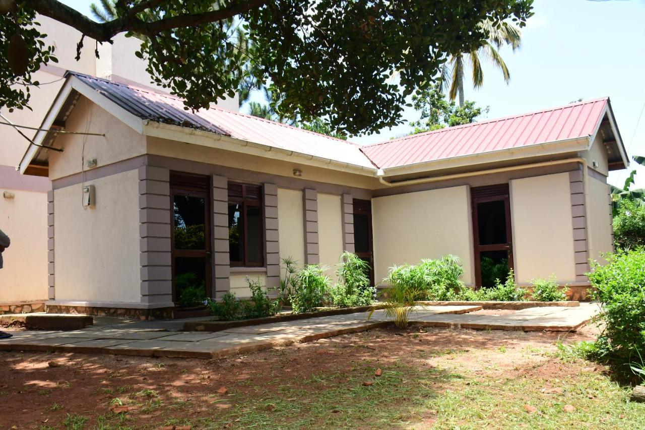 Golden Cherries Guest House Τζίντζα Εξωτερικό φωτογραφία